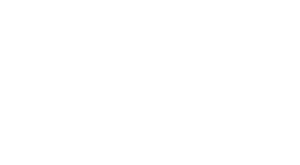 Aseguradora del sur