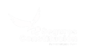 Seguros constitucion